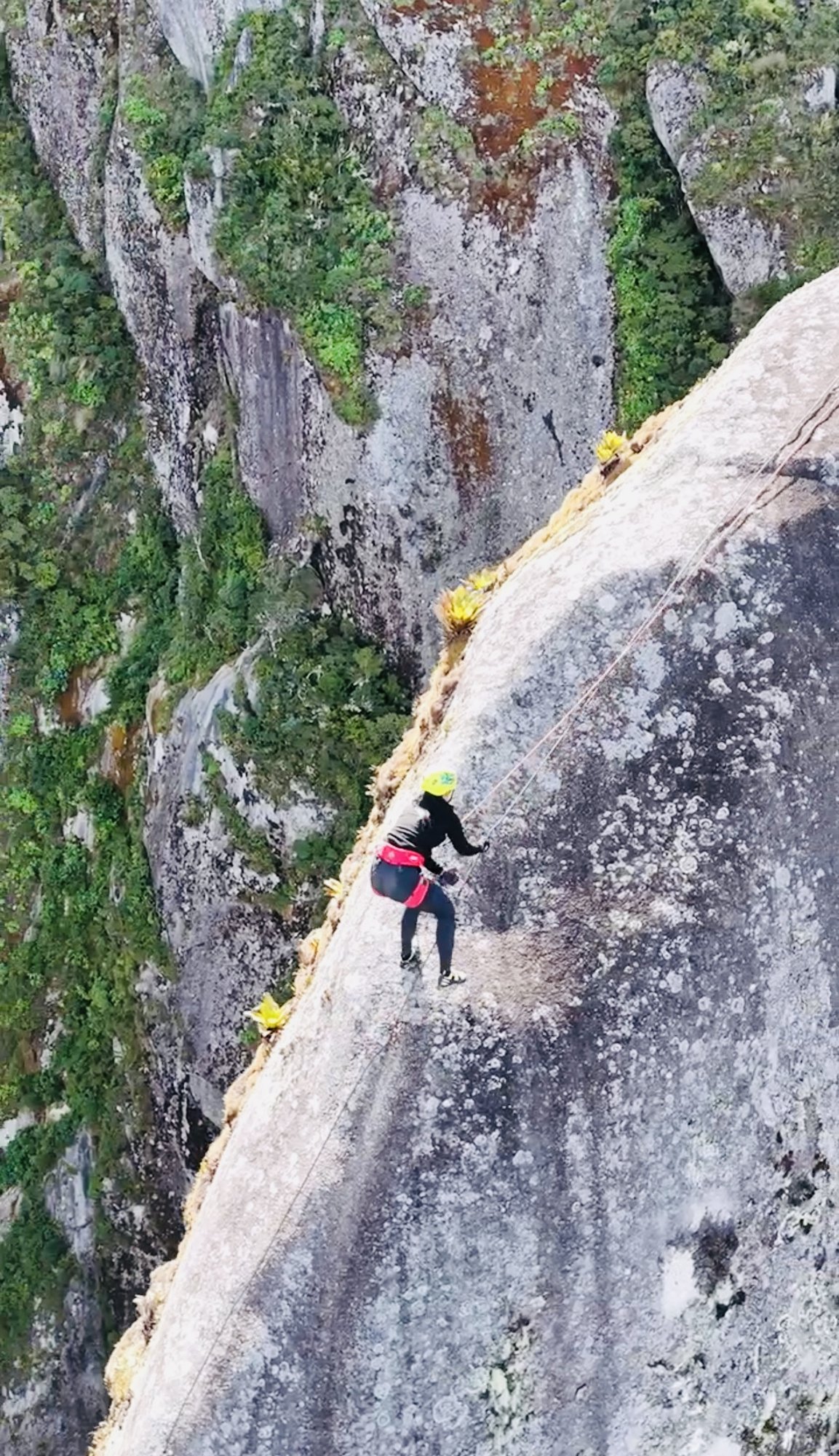 Escalador com capacete amarelo em rappel na parede granítica da Agulha do Diabo com bromélias amarelas e floresta abaixo
