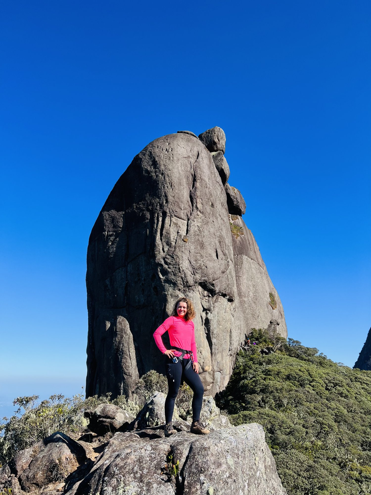 Floresta nebulosa na Serra dos Órgãos