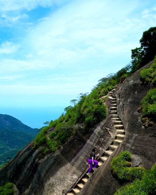 Mata Atlântica preservada no Pico da Tijuca